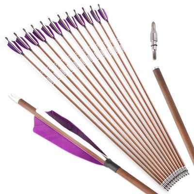 ZSHJGJR 31" Archery Carbon Arrows Spine 340 400 500 600 Hunting Arrows with Removable Tips Natural Feather Targeting Arrows for Compound & Recurve & Traditional Bow 6/12pcs (6, Purple, Spine 500)