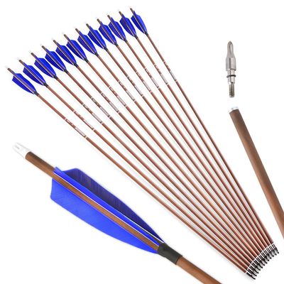 ZSHJGJR 31" Archery Carbon Arrows Spine 340 400 500 600 Hunting Arrows with Removable Tips Natural Feather Targeting Arrows for Compound & Recurve & Traditional Bow 6/12pcs (12, Blue, Spine 400)