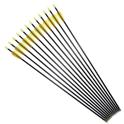 Practice Fiberglass Arrows Archery 24 Inch Target Shooting Safetyglass Recurve Bows Suitable for Youth Children Woman Beginner 12PCS Pack