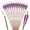 SHARROW 31 Inch Hunting Archery Carbon Arrow, Targeting Practice Arrows 340 400 500 600 Spine Fletched 4 inch Real Feathers with Field Points for Compound Recurve Longbow 6/12pcs (Spine 340, 12) view 1