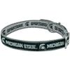 Michigan State Spartans Reversible NCAA Dog/Cat Collar, Large. Premium Home & Away Two-Sided Pet Collar Adjustable with Metal Buckle. Your Favorite University Team with a Unique Design on Each Side! view 2