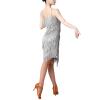 Flapper Dresses Women's 1920s Gatsby Sequins Tassels Flapper Sexy Cocktail Latin Dance Ballroom Dress Grey 3XL view 4