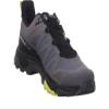 Salomon X Ultra 4 GTX Quiet Shade/Black/Evening Primrose 12 D (M) view 4