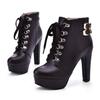 Bcshiye Womens Sexy High Heels Boots Platform Chunky Buckle Block Ankle Booties Lace Up Winter Knight Booties Shoes view 2