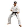 Icon Heroes The Karate Kid Daniel Larusso All Valley Champion Action Figure (Comic Con Exclusive) view 4