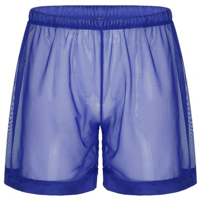 YEAHDOR Men's Sheer Mesh See Through Shorts Bottoms Loose Swim Trunks Summer Beach Boxer Briefs Underwear Royal Blue 3X-Large
