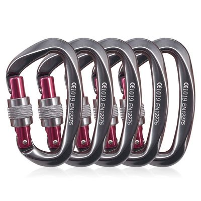 NewDoar Heavy Duty Locking Carabiner 24KN/5400lbs,Screwgate Locking for Keychain Dog Leashes&Harness, Heavy Duty Clips for Camping, Hiking, Swing, Hammock (D Shape Grey 5pcs)