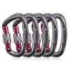 NewDoar Heavy Duty Locking Carabiner 24KN/5400lbs,Screwgate Locking for Keychain Dog Leashes&Harness, Heavy Duty Clips for Camping, Hiking, Swing, Hammock (D Shape Grey 5pcs) view 1