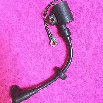 Boat Motor High Pressure Assy Ignition Coil A Fit For Parsun 2- Stroke T20 T25 T30A Outboard Engine T20-06030002