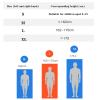 ZZBB Rehabilitation Stroke Hand Mirroring Rehabilitation Robot Gloves Finger Trainer Physiotherapy Stroke Hemiplegia Hand Grip Training Exercise Equipment,Right,S view 3