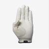 ASHER Men's Premium Egg Shell Golf Glove - Small (goes on Left Hand) view 2