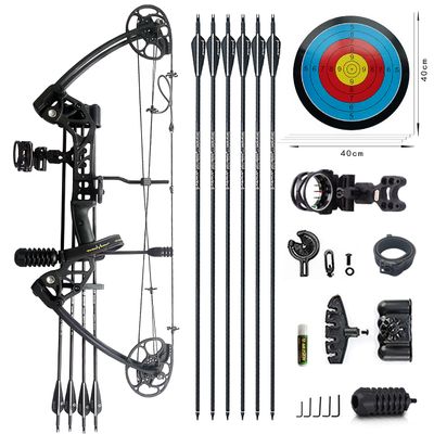 PANDARUS Compound Bow Draw Weight 0-70 Lbs for Pull Beginner and Intermediate Archer Fully Adjustable 19.25"-31" with All Accessories, up to IBO 320 fps New 2024(Black Right Handed Basic Version)