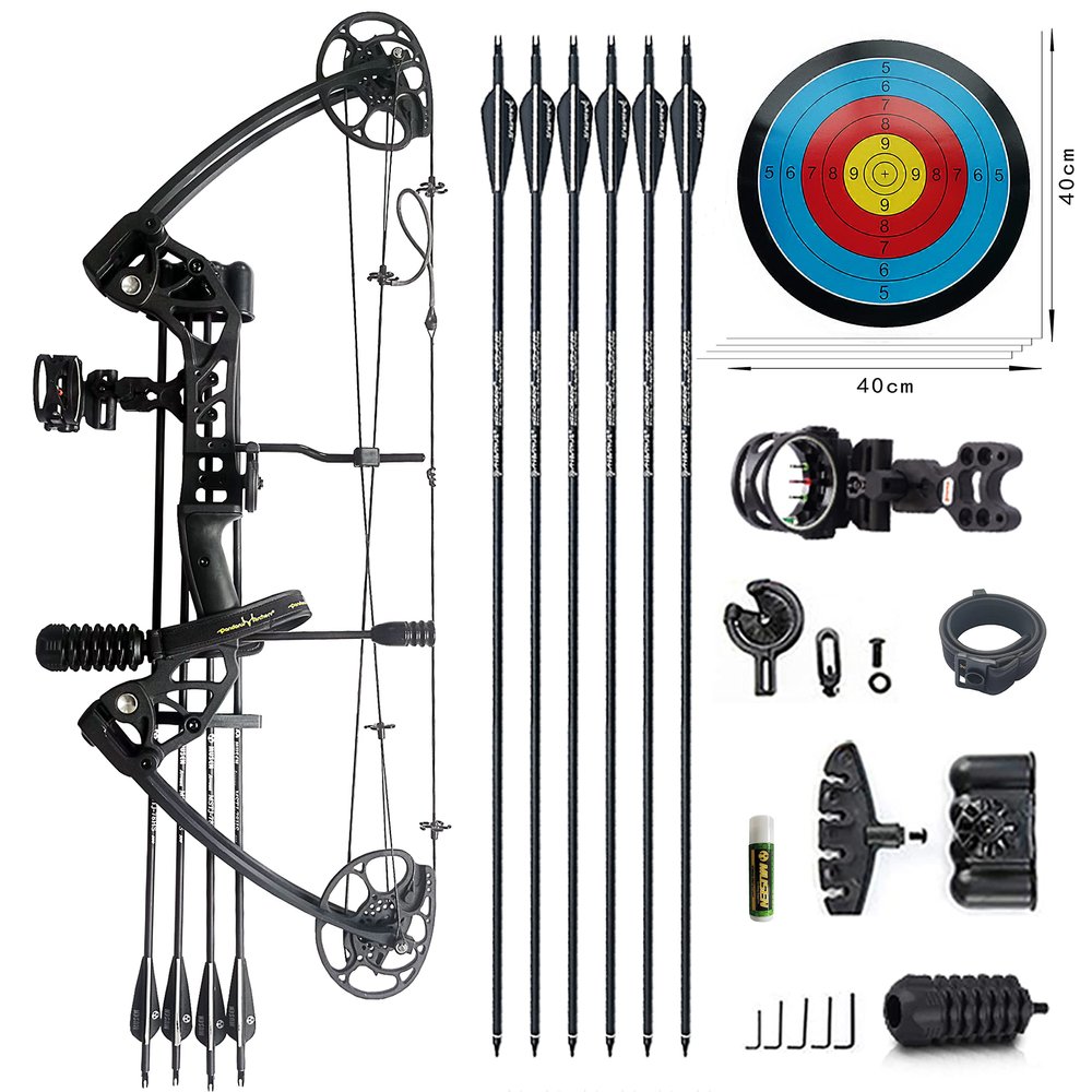 PANDARUS Compound Bow Draw Weight 0-70 Lbs for Pull Beginner and Intermediate Archer Fully Adjustable 19.25"-31" with All Accessories, up to IBO 320 fps New 2024(Black Right Handed Basic Version)