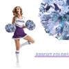 Hooshing 2PCS Silver Pom Poms Cheerleading Rainbow Cheer Pom Poms with Baton Handle for Kids Girls School Sports Team Spirit Games Cheering view 4