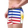 American Filipino flag Mens Boxer Briefs Underwear Breathable Stretch Boxer Trunk with Pouch for Men, Youth view 2