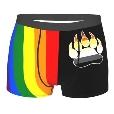 Gay LGBT Bear Flag Mens Boxer Briefs Underwear Breathable Stretch Boxer Trunk with Pouch for Men, Youth