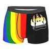Gay LGBT Bear Flag Mens Boxer Briefs Underwear Breathable Stretch Boxer Trunk with Pouch for Men, Youth view 1
