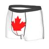 Flag of Canada Mens Boxer Briefs Underwear Breathable Stretch Boxer Trunk with Pouch for Men, Youth view 2