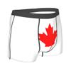 Flag of Canada Mens Boxer Briefs Underwear Breathable Stretch Boxer Trunk with Pouch for Men, Youth view 3
