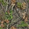 Mossy Oak Matte Camo Roll Hunting Patterns, Self-Adhesive Vinyl Wrap, DIY (24"x36", NWTF Obsession) view 2