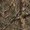 Mossy Oak Matte Camo Roll Hunting Patterns, Self-Adhesive Vinyl Wrap, DIY (24"x48", Country DNA) view 2