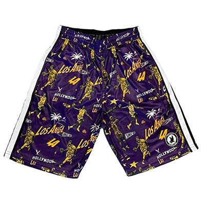 Flow Society LA Basketball Flow Athletic Shorts Purple