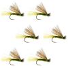 The Fly Fishing Place Olive X Caddis Emerging Caddis Adult Trout Dry Fly - Set of 6 Flies Size 18 view 1