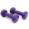 Dumbbells Exercise Fitness view 1