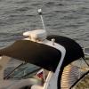 Besramtic Anchor Light Boat Bimini Light Stern Light Marine Navigation Lights USCG 3 NM All Round White LED Fold Down 10-24 Volt 16 Inches for Pontoon view 3