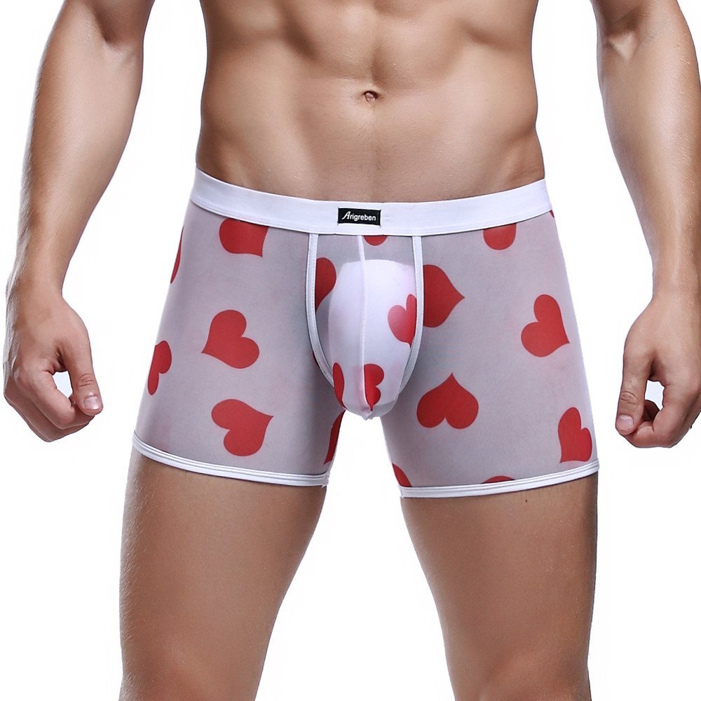 Men's Heart Print Boxer Briefs Sexy Mesh See-Through Boxers Cozy Classic Breathable Full-Rise Trunks for Valentine's Day White