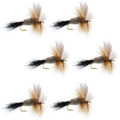 The Fly Fishing Place Irresistible Wulff Classic Trout Dry Fly Fishing Flies - Set of 6 Flies Size 10