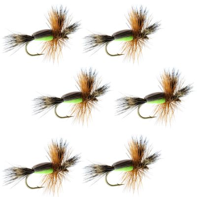 The Fly Fishing Place Chartreuse Humpy Classic Trout Dry Fly Fishing Flies - Set of 6 Flies Size 16