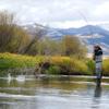 The Fly Fishing Place Chartreuse Humpy Classic Trout Dry Fly Fishing Flies - Set of 6 Flies Size 16 view 3