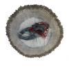 POUI COME DREAM Korea Fishing Cast Net for Bait Trap Fish 6ft/10ft Radius Casting Nets with Heavy Chain Zinc Sinker Weights, 3/8 inch Mesh Size view 2