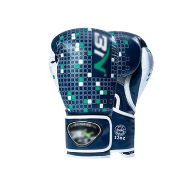 Lfzhjzc Men's and Women's Boxing Gloves, Taekwondo Gloves, Boxing Gloves, MMA, Fighting Gloves, Training Gloves, 8, 10, 12oz Available Choose (Color : Blue, Size : 10OZ)