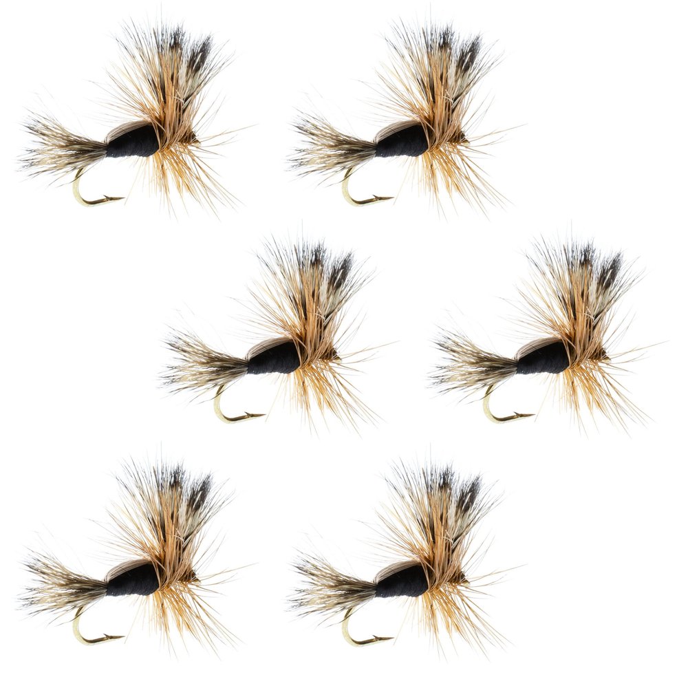 The Fly Fishing Place Black Humpy Classic Trout Dry Fly Fishing Flies - Set of 6 Flies Size 14