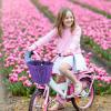 EIRONA Kids Bike Handlebar Basket  Storage Basket for Bicycle, Scooter & Tricycle, Purple view 4