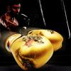 Lfzhjzc Men's and Women's Boxing Gloves,Boxing Gloves for Kids,Training & Sparring Gloves for Pro Fighters,Heavyweight Boxing Gloves,Muay Thai Style Punching Bag Mitts,Fight Gloves,Boxing Gloves view 4
