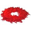 Feather Boas 47 Gram - 2 Pack Turkey Chandelle Feather Boa, Party Dress Up Costume Accessories Holiday Decors80 Inch LongRed view 2