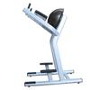 French Fitness FFS Silver Half Ball Captain's Chair Leg Raise VKR  Abdominal Machine with Adjustable Elbow Rests & Back Support view 4