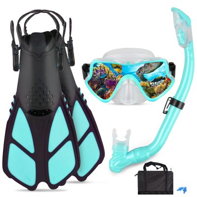 AosDero Kids Snorkeling Set Adjustable Swimming Kids Flippers+Panoramic Snorkel Mask+ Dry Snorkel Tube+ Travel Bags Suitable Snorkeling Gear for Kids,Juniors,Age 5-14