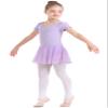 danswan Classic Short Sleeve Ballet Skirted Leotards Dance Dresses Tutu Outfit for Ballerina Toddler Girls (8-9Years, Purple) view 4