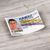 McLovin Car Bumper Vinyl Sticker Decal view 4