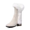 Bcshiye Women's Mid Calf Boots,Winter Wide Mid-Calf Snow Boots Fashion Furry Warm Comfort High Heels Dress Party Boots view 1