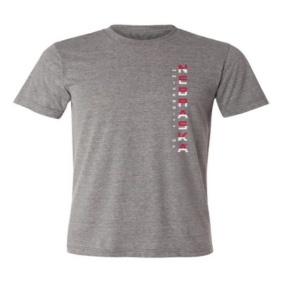 CornBorn Nebraska Tee Shirt - Premium Tri-Blend Striped Vertical University of Nebraska - Premium Heather - Extra Small