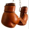 12oz PRO Version Boxing Gloves | TAN Leather Vintage MMA Training | Retro by GEOFFREY view 2