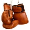 12oz PRO Version Boxing Gloves | TAN Leather Vintage MMA Training | Retro by GEOFFREY view 4
