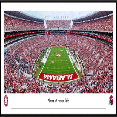 Alabama Football, End Zone - 40.25x13.75-inch Standard Framed Print by Blakeway Panoramas