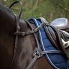 Flexible Fit Equestrian Quiet Hands Safety Strap & Connector Bundle Havana Saddle Horse view 1