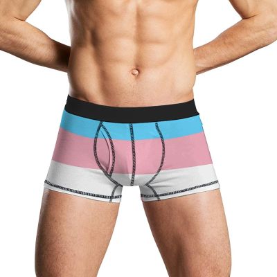 BAIKUTOUAN Transgender LGBT Flag Men's Boxer Brief Underwear Soft Stretch Trunks Pack 2XL